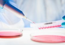 Meta-Analysis in Healthcare Research