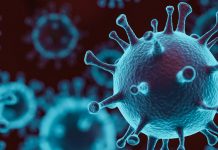 Coronavirus Disease (COVID-19) Effect: The Impact and Role of Mass Media During the Pandemic