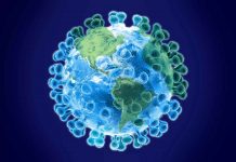 IMPACT OF COVID-19 ON THE GLOBAL ECONOMY