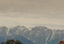 Travel and Tourism Outlook