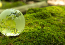 What is the repercussion of the environment due to the COVID-19 pandemic situation?