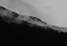 What is the chance Homo sapiens will survive for the next 500 years?