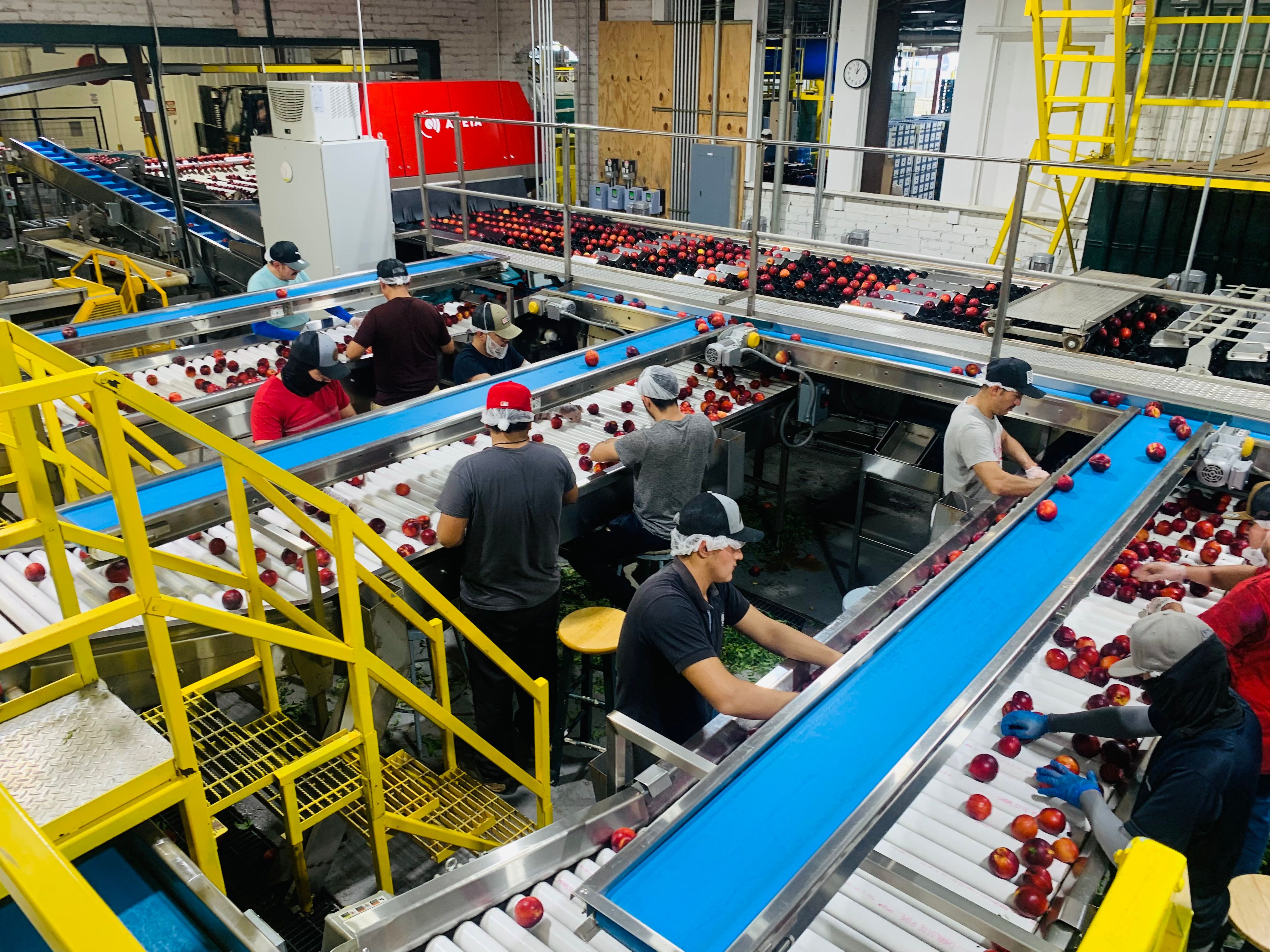 Complete List of Food & Beverage Processing AI Tools & AI Software