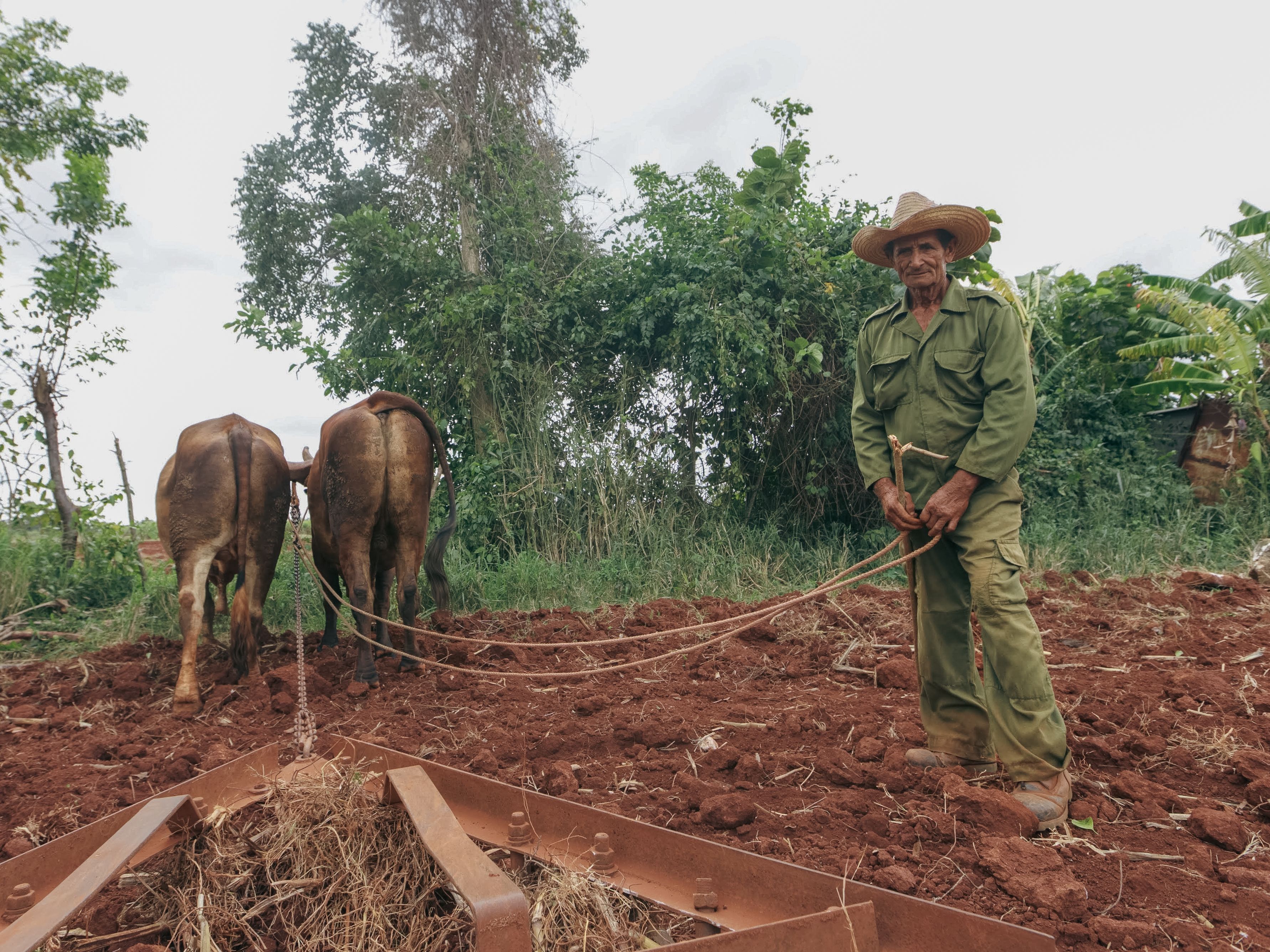 Complete List of Agriculture (Farming, Animal Husbandry, Horticulture) AI Tools & AI Software