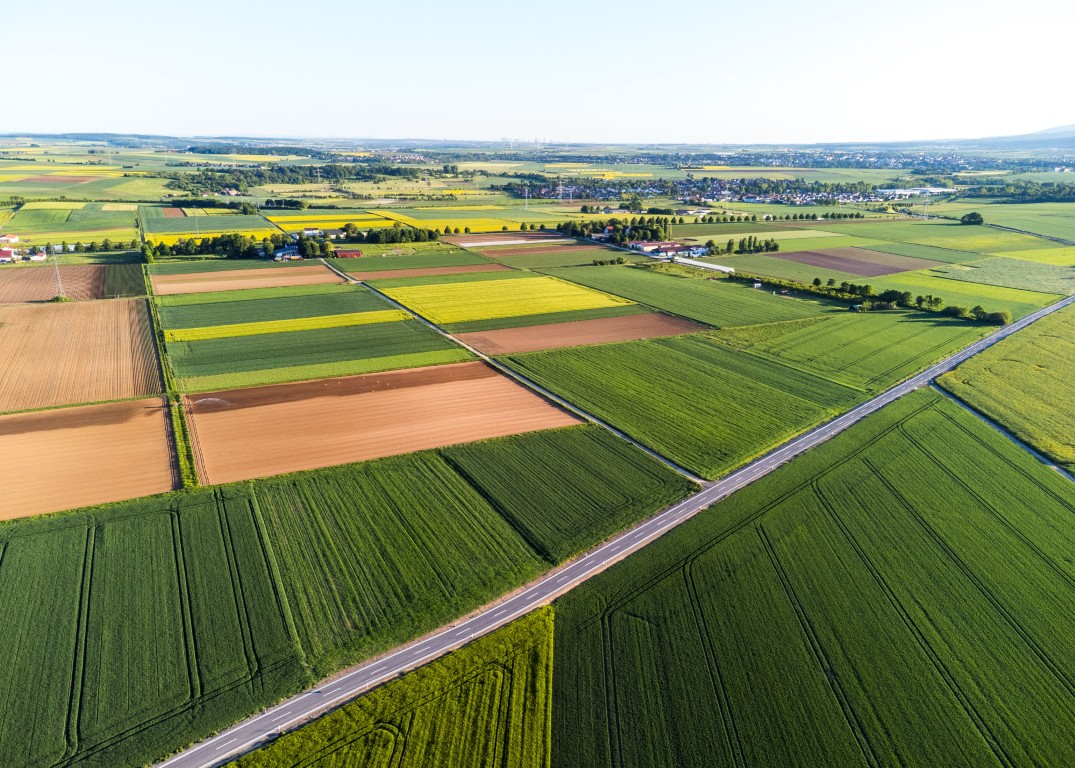 AI for Farms: How Artificial Intelligence Can Improve Productivity, Reduce Costs and Increase Profitability