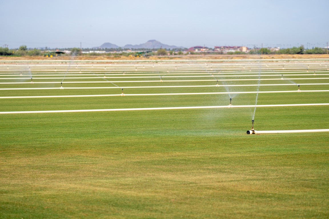 AI for Irrigation Companies: How Artificial Intelligence Can Optimize Water Use, Field Operations and Profitability