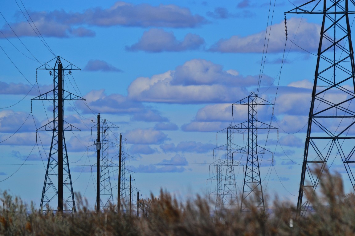AI for Power Distribution Companies: How Artificial Intelligence Can Improve Grid Reliability, Reduce Losses and Optimize Operations
