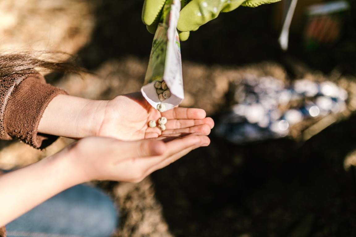 AI for Seed Companies: How Artificial Intelligence Can Improve Seed Quality, Production Efficiency and Revenue Growth